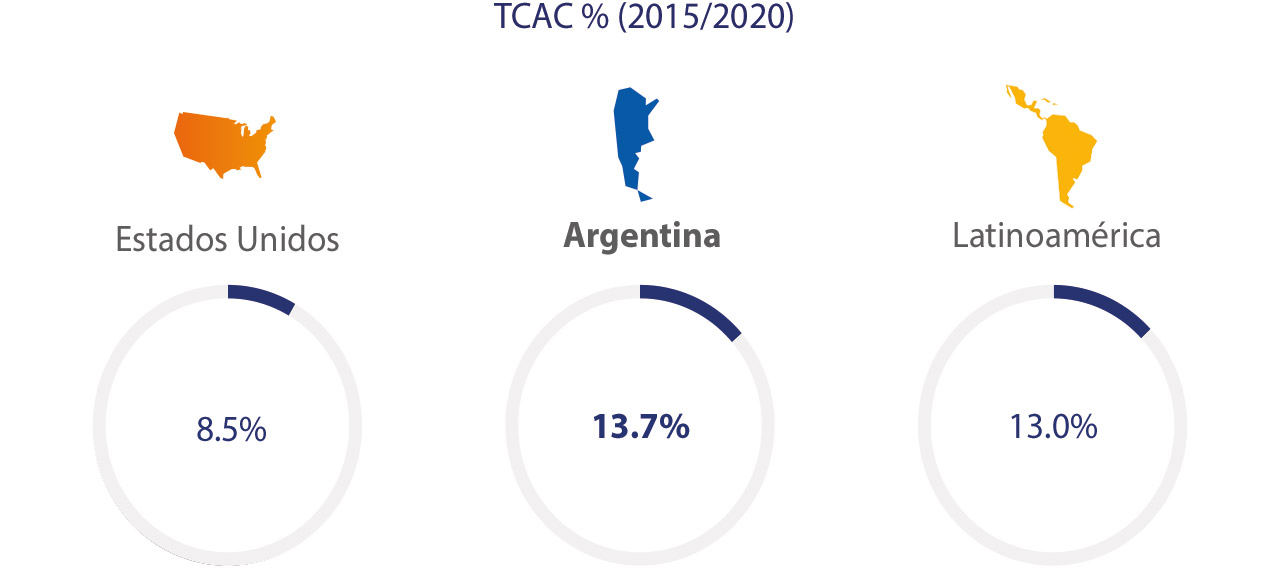 Visa - Argentina, Estadísticas 2015/2020